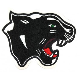 Panther Mascot 1 | Award Letters